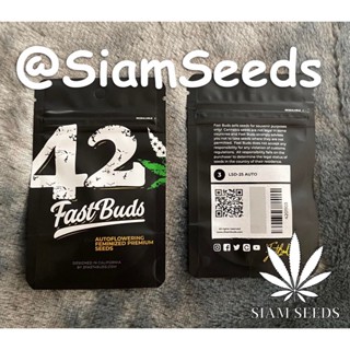 เมล็ดกัญชา Fastbuds LSD 25 Auto Cannabis Seeds (Pack of 3)