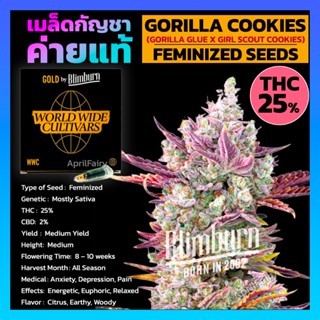 เมล็ดพันธุ์กัญชา Gorilla Cookies Feminised Cannabis Seeds เพศเมีย เมล็ดกัญชานอก เมล็ดค่าย Blimburn แท้100% แบ่งขาย