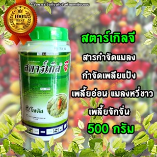 สตาร์เกิลจี กำจัดเพลียแป้ง สตาร์เกิลจี 500 กรัม