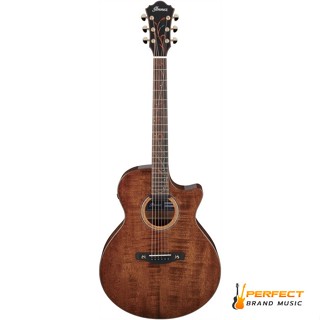 AE295LTD NT กีตาร์โปร่งไฟฟ้า AE295LTD-NT