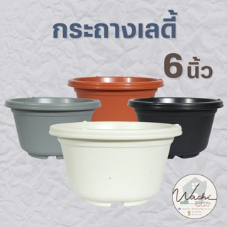 กระถางแคคตัส ทรงเลดี้ ขนาด 6 นิ้ว