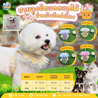 (BP Pets) สายจูงสัตว์เลี้ยงพร้อมเสื้อ เสื้อกั๊กสายจูง สําหรับสัตว์เลี้ยงสุนัขแมว สายจูงหมา สายจูงแมว สายจูงสัตว์เลี้ยง