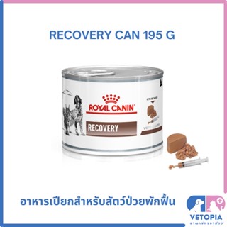 Royal Canin Recovery 195 g (1 กระป๋อง) สำหรับสุนัขและแมวป่วย พักฟื้น