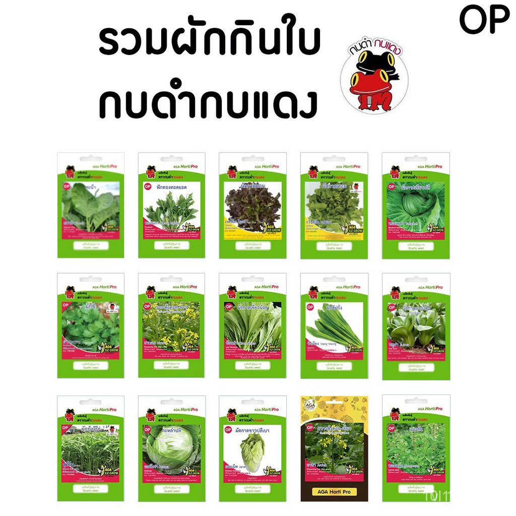 ผลิตภัณฑ์ใหม่ เมล็ดพันธุ์ จุดประเทศไทย ❤**10 แถม 1**เมล็ดอวบอ้วนผักกินใบ OP เลือกชนิดได้ ️️(กดเพิ่มลงรถเข็น จะมี/ผักบุ้ง