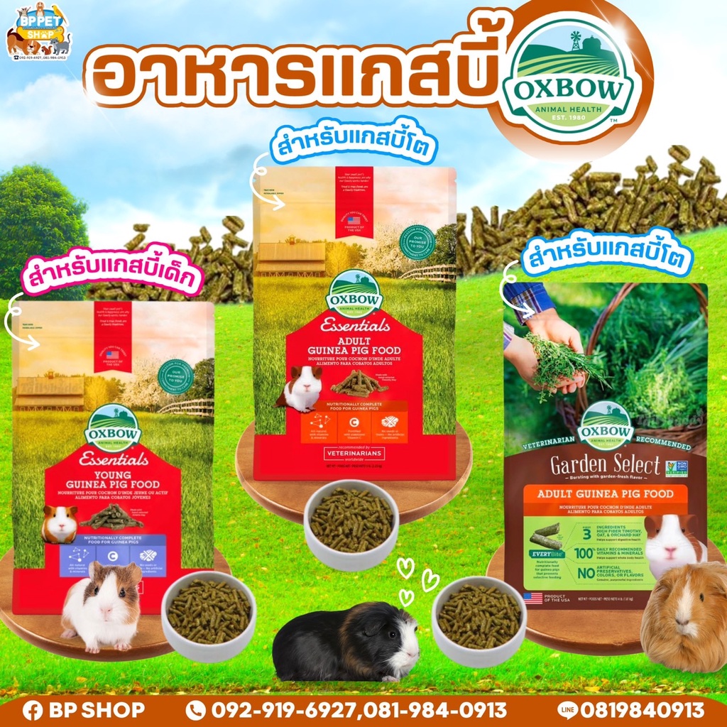 (BP Pets) Oxbow Guinea Pig อาหารเม็ดสำหรับแกสบี้โต แกสบี้เด็ก และ สูตร Garden select (แบ่งจำหน่าย) อ