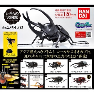 (เพิ่ม 2 แบบพร้อมส่ง) กาชาปองด้วง Gashapon Bandai Kuwagata Hercules Beetle Action Vol.02 โมเดลสัตว์