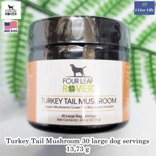 Four Leaf Rover - Turkey Tail Mushroom 30 large dog servings 13.73 g ผงสารสกัดจากเห็ดหางไก่งวง สำหรับสุนัข