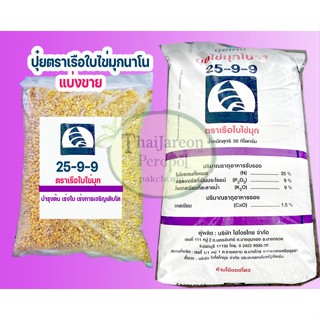 ปุ๋ยเคมีเม็ด สูตร 25-9-9 ขนาด 1 กิโล แบ่งขา เรือใบไข่มุก เม็ดกลม ฟื้นบำรุงต้น เร่งใบ เร่งการเจริญเติบโต