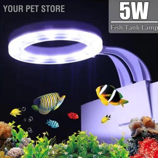 BYour Pet Store แหวนคลิปไฟ Led Eu 110 Xe2 X80 X91240V กันน้ํา อุปกรณ์เสริม สําหรับตู้ปลา