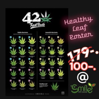 Healthy Leaf Poster - Fastbuds