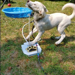 Dog Drinking Water Fountain Step On Dispenser System for Pet Dogs Feeder