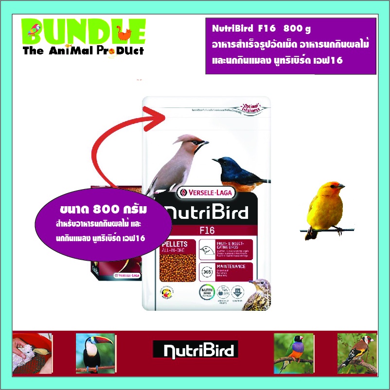 NutriBird F16 800 g อาหารสำเร็จรูปอัดเม็ด อาหารนกกินผลไม้ และนกกินแมลง นูทริเบิร์ด เอฟ16