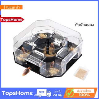 TopsHome ที่ดักแมลงสาบ กับดักแมลงสาบ ดักแมลงสาบ กล่องดักแมลงสาบ แมลงสาบ O-319