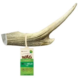 เขากวางไซส์ใหญ่ Whole Large Antler