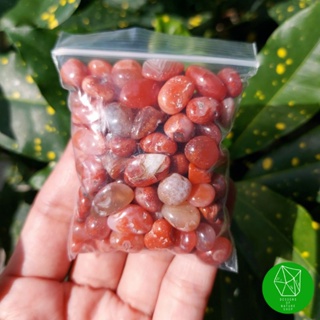 หินเรดอาเกตขัดมันชิ้นเล็ก (Red Agate)