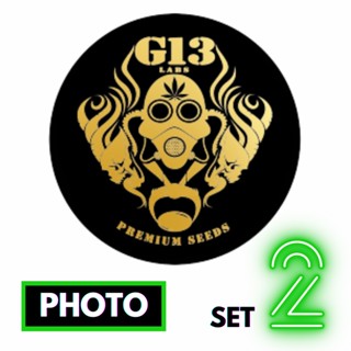 🔥Preorder🔥เมล็ดค่าย🌱G13 Labs Seeds🌱⭐️Photo⭐️ส่งฟรี🚨มีปลายทาง ส่งตรงจากนอกแท้100%⭐️ยกแพค/แยกเมล็ด⭐️อย่าเสี่ยงกับเมล็ดไม่มีที่มา#2