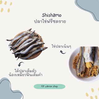 ปลาไข่ Shishamo ฟรีซดราย ขนมแมวฟรีซดราย