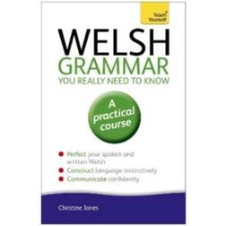 Welsh Grammar You Really Need to Know