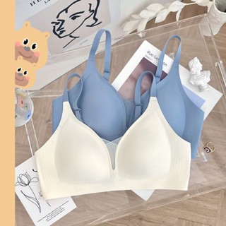 🎀bearbra🎀ชุดชั้นใน สปอร์ตบรา บราสายเดี่ยว Sport Bra เสื้อในสปอร์ตบรา ไร้รอยต่อ มีฟองน้ำ