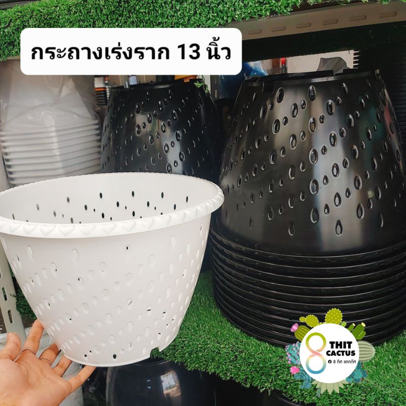 // กระถาง 13 นิ้ว // กระถางรู เร่งราก // แคคตัส พลาสติก เกษตร