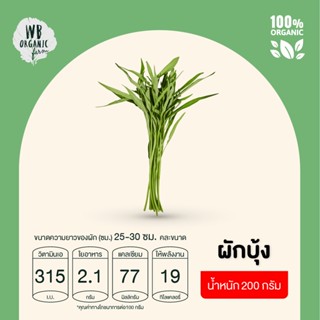 WB Organic Farm ผักบุ้ง ผักสลัด ผักสด มาตรฐานออร์แกนิค IFOAM ปลอดสารพิษ 100%  เก็บใหม่ทุกออเดอร์ เก็บ-แพ็ค-ส่งตรงจากฟาร์