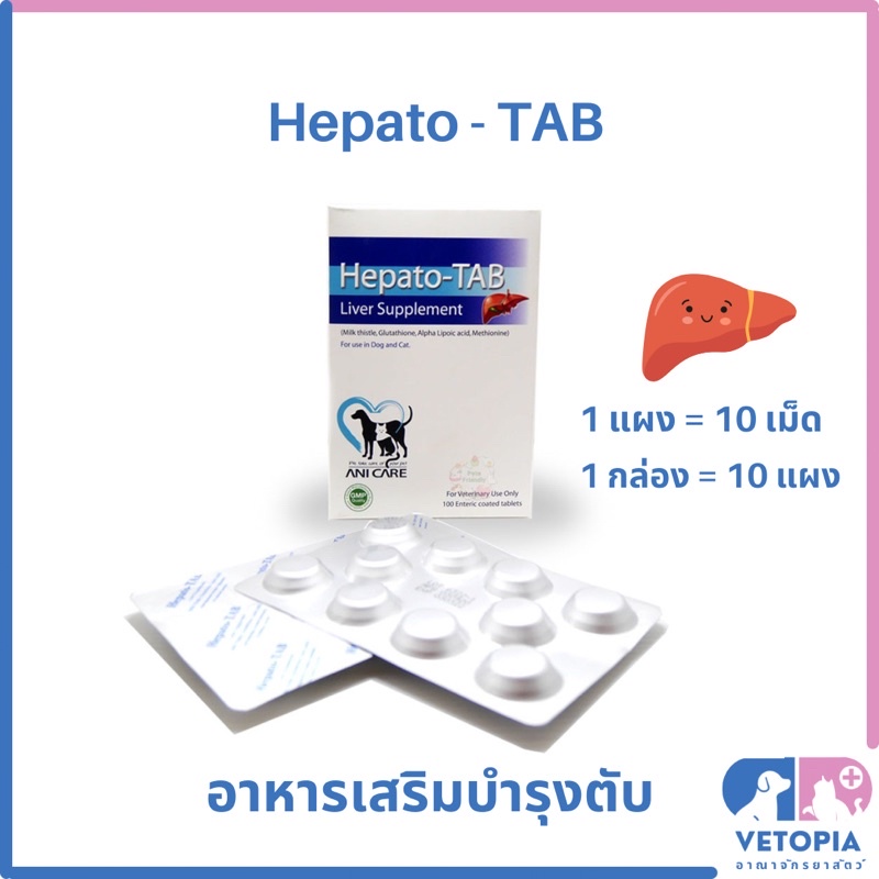 แบ่งขาย <1 แผง = 10 เม็ด> Hepato Tab วิตามินบำรุงตับสำหรับสุนัขและแมว