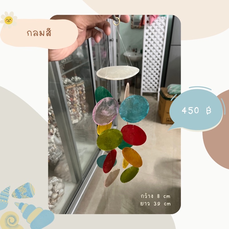 ยกแพ็ค 6 อัน ตกอันละ 75 บาท โมบายหอยแขวน กระดิ่งลม หอยกระจก 4 สาย 8x39 cm