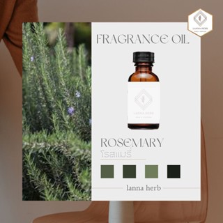 หัวน้ำหอม กลิ่นโรสแมรี่ (Rosemary)