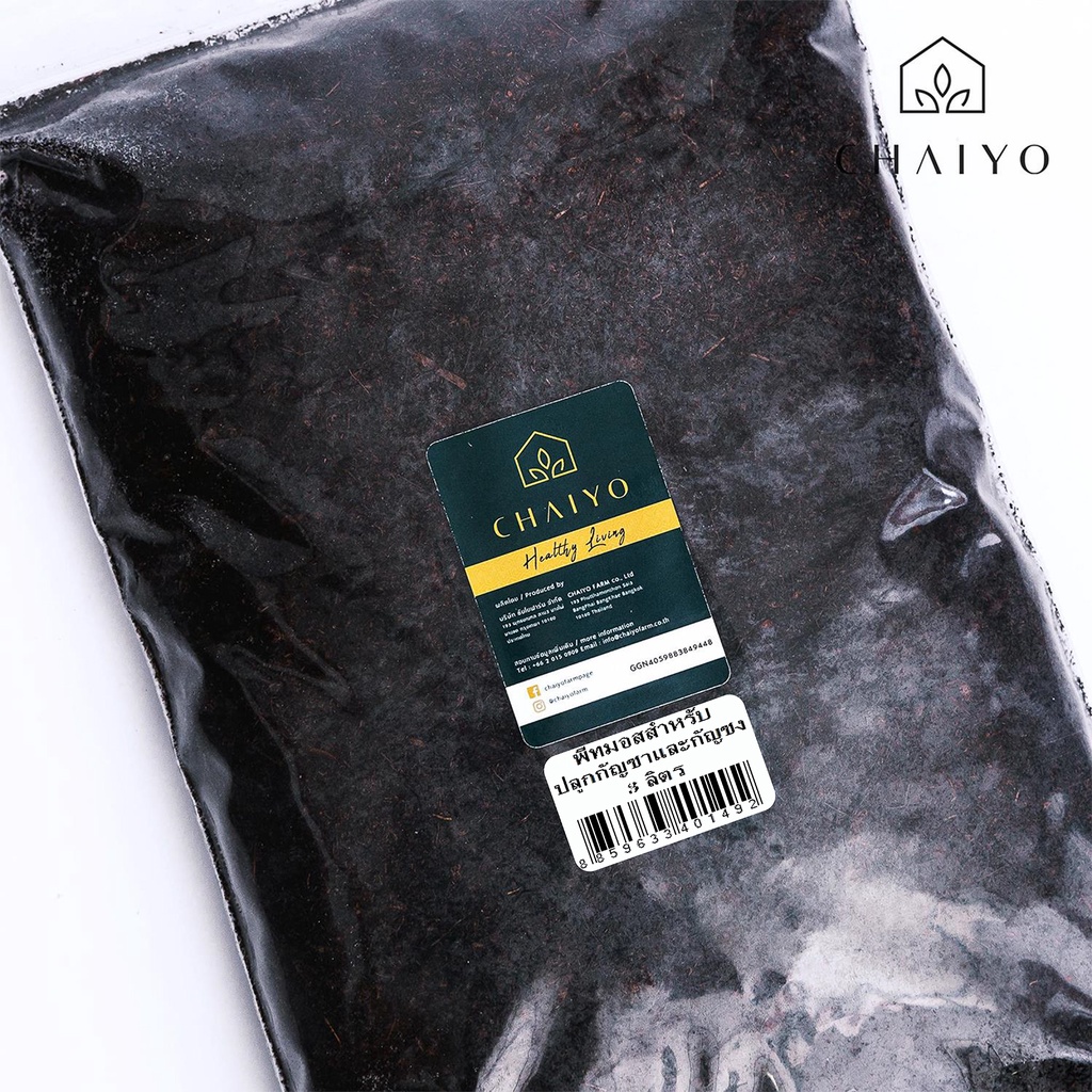 รูปภาพ 2