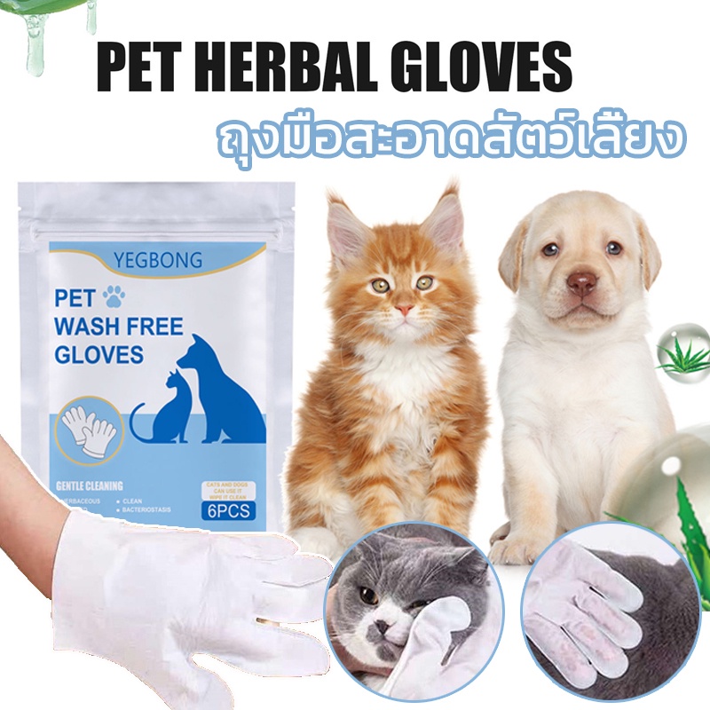 พร้อมจัดส่ง ทำความสะอาดถุงมือสัตว์เลี้ยง ถุงมือสัตว์เลี้ยงแบบใช้แล้วทิ้ง ถุงมือทำความสะอาดฆ่าเชื้อ Pet clean gloves