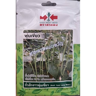 เมล็ดพันธุ์ ถั่วฝักยาว ถั่วพุ่ม ถั่วไร้ค้าง 🌱หมดอายุ05/10/2566🌱บรรจุประมาณ 40 เมล็ด ถั่วพุ่ม ฝักเขียว ต้นทรงพุ่ม