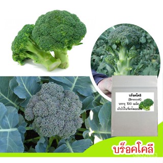 （คุณภาพสูง เมล็ด）เมล็ดพันธุ์บร็อคโคลี่ (Brocolli) 200 เมล็ด  บร็อคโคลี่ เมล็ดบร็อคโคลี่ ปลูกบร็อคโคล/งอก ปลูก ส/งอก NQAL