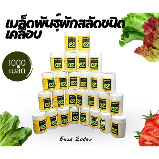 เมล็ดพันธุ์ผักสลัดชนิดเคลือบ ขนาด 1000 เมล็ด