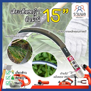 เคียว ตัดหญ้า ตัดวัชพืช 15 นิ้ว เคียวด้ามไม้ สไตล์ญี่ปุ่น ใบมีดคมกริ๊บเกรดพิเศษ เคียวเกี่ยวข้าว เคียวจีน เคียวตัดหญ้า