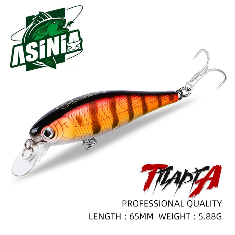 ASINIA Wobbler Minnow ขนาด 6.5 ซม., น้ำหนัก 5.8 กรัม เหยื่อล่อพลาสติกคุณภาพสำหรับการตกปลาลึก 0.5-1 เมตร