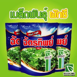 เมล็ดผักชี ฉัตรทิพย์ 300 กรัม เมล็ดผักชีฉัตรทิพย์ (อิตาลี) เมล็ดพันธุ์ผักชี ผักชีฉัตรทิพย์