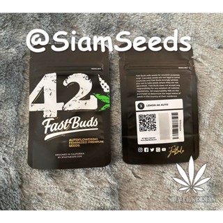 เมล็ดกัญชา Fastbuds Lemon AK Auto Cannabis Seeds (Pack of 3)