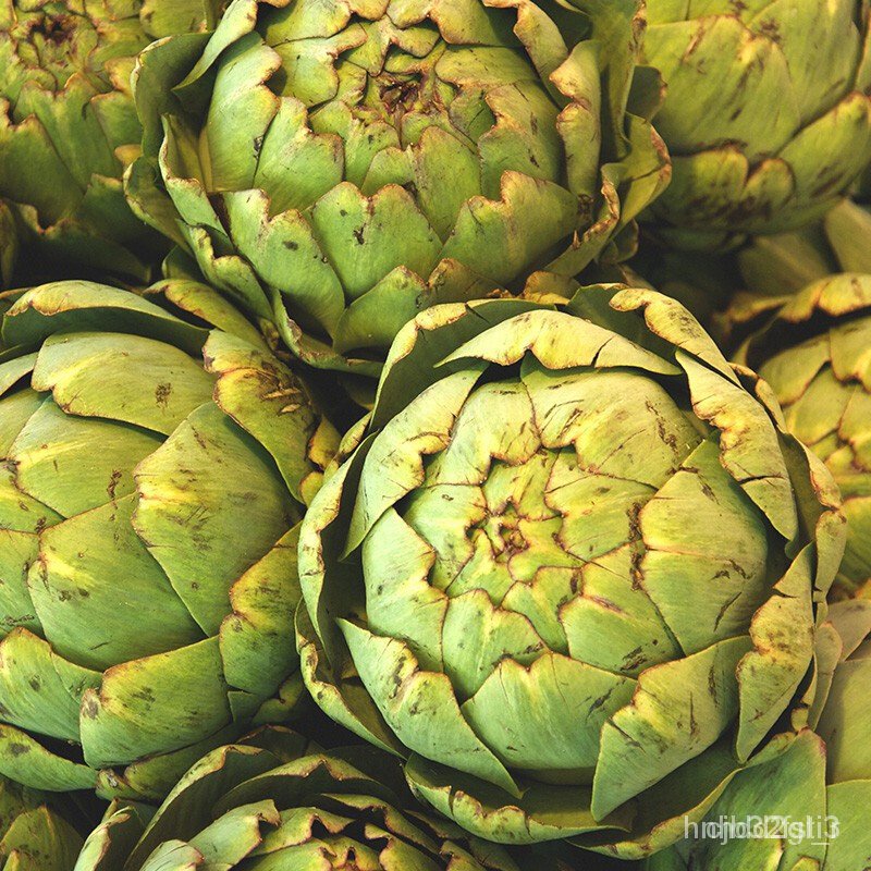 ผลิตภัณฑ์ใหม่ เมล็ดพันธุ์ จุดประเทศไทย ❤Artichoke seed artichoke vegetable green artichoke seed 50 s