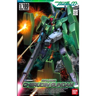 BANDAI NG 1/100 CHERUDIM GUNDAM