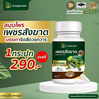 (พร้อมส่ง)บ้านคุณจันท์ เพชรสังฆาต สมุนไพรเพชรสังฆาต สมุนไพรริดสีดวง บรรเทาริดสีดวงทวารหนัก ยุบไว หายเร็ว ลดอักเสบ 30 แคป