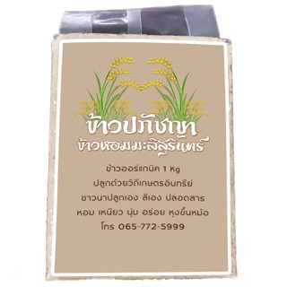 ข้าวหอมมะลิสุรินทร์ ข้าวใหม่ต้นฤดูกาล ข้าวหอมมะลิ กข 105 สุรินทร์แท้ บรรจุ 1 กิโลกรัม ซีลสูญญากาศ แบรนด์ข้าวปภัชญา