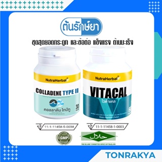 [โปรโมชั่น] แคลเซ๊่ยม+คอลลาเจน บำรุงกระดูก ป้องกันข้อเสื่อม เข่าเสื่อม COLLADENE TYPE II  30 CAPSULE+VITACAL 60 CAPSULE