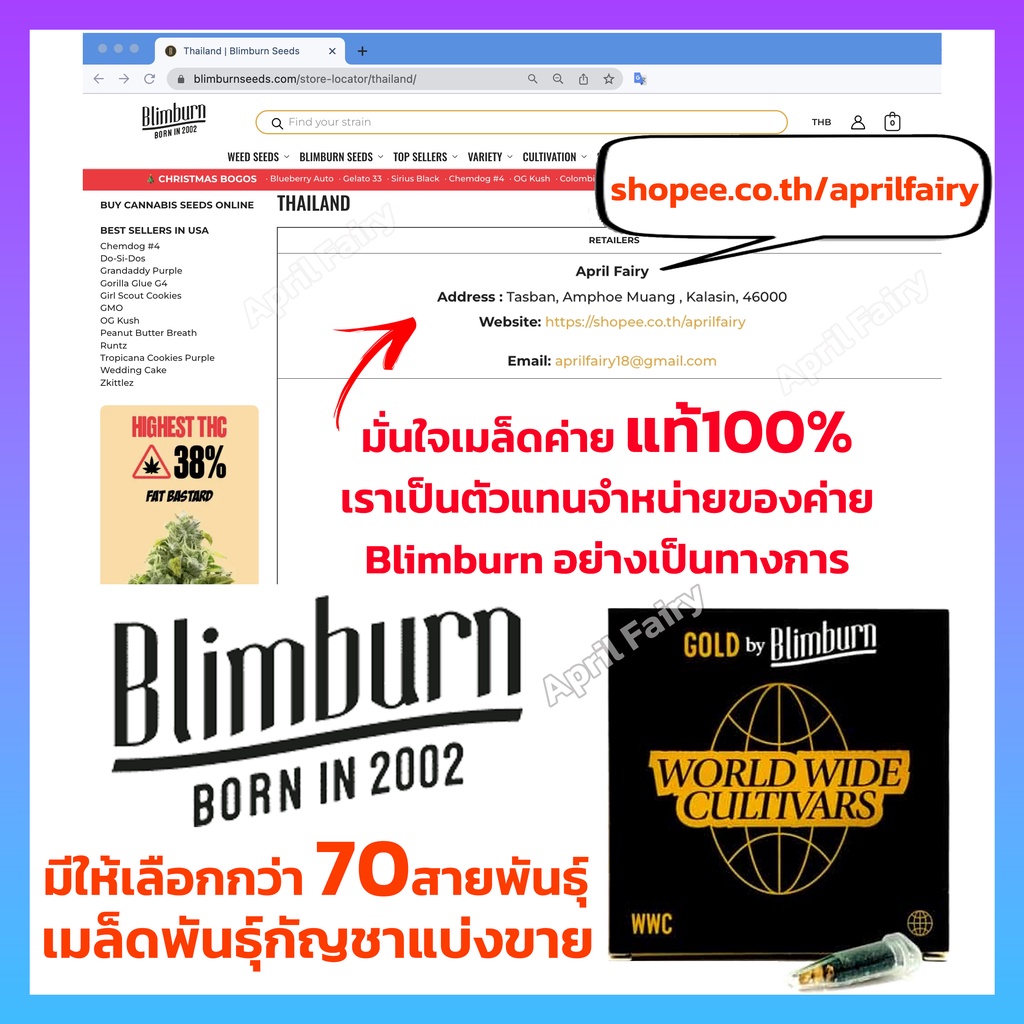 เมล็ดค่าย Blimburn Seeds Feminized เพศเมีย ของแท้ 100% ตัวแทนค่าย เมล็ดพันธุ์กัญชา ออโต้ โฟโต้ แบ่งขาย ราคา ต่อ 1เมล็ด