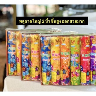 [ส่งทันที] พ ลุถาดใหญ่ ฝนดาวตก 2 นิ้ว 6 แท่ง ขึ้นสูง สวยมาก