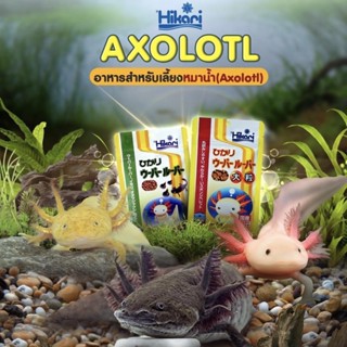 อาหารหมาน้ำ Hikari Axolotl 30g ชนิดเม็ดจม มีโปรตีน มากกว่า 47% ส่งตรงจากญี่ปุ่น มี 2 ขนาดให้เลือก