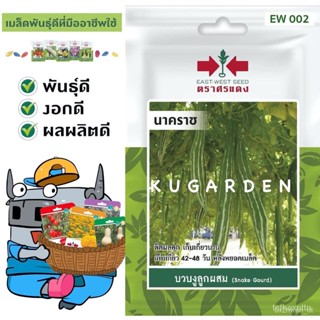 ผลิตภัณฑ์ใหม่ เมล็ดพันธุ์ จุดประเทศไทย ❤SORNDAENG  ผักซอง ศรแดง บวบงู นาคราช #EW002 เมล็ดอวบอ้วน บวบ เมล็ดอวบอ้ /คะน้า U