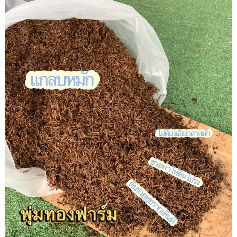 แกลบหมักมูลวัวนม แกลบเก่าพร้อมใช้งาน ขนาด10โล‼️ส่งฟรี‼️