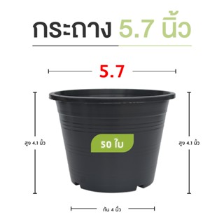 กระถางพลาสติก กระถางต้นไม้ สีดำ 5.7 นิ้ว 50 ใบ