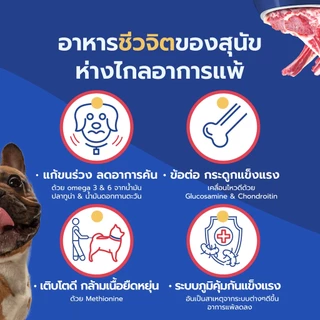 Zeno Lamb Grain-Free อาหารสุนัขซีโน่ เกรนฟรี รสแกะ ขนาด 12 กก. เหมาะกับสุนัขแพ้ไก่ ปราศจากธัญพืช ลดขนร่วง ผิวแดง