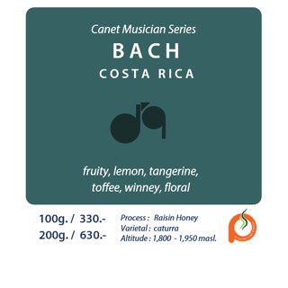 Costa Rica Canet Musicians Series Bach / 100g / 200g